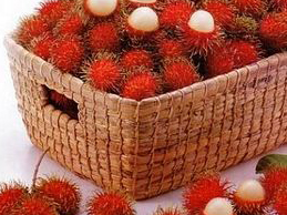 koh phangan rambutan